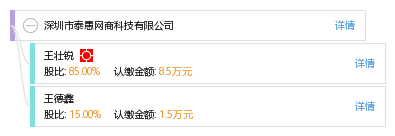 数字生态中的连接之道 泰愚网商科技与泰思元网络的协同发展观察